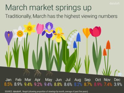 Spring Has Officially Sprung!