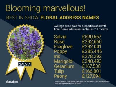 Blooming Marvellous!