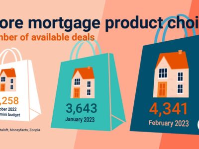 More mortgage product choice