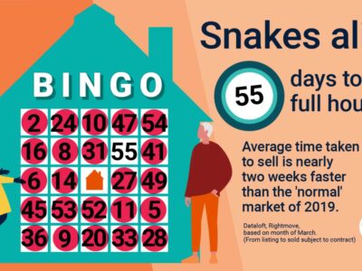 Snakes alive – 55 days to sell