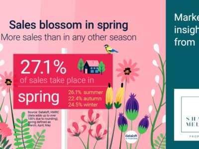 Spring Blossom